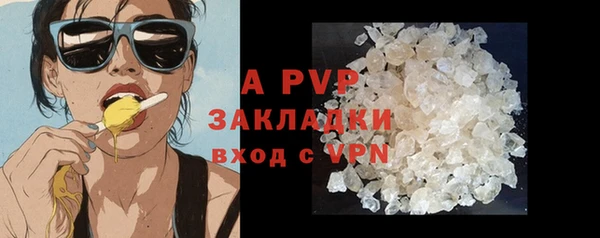 apvp Богданович